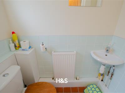 Picture 15